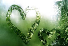 开云体育在线-德国男篮爆冷公牛，费沃斯惊艳世界全面解析欧洲篮球崛起的背后力量