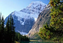 开云体育-阿根廷完胜丹麦：托雷斯的奇妙助攻点燃世界杯激情