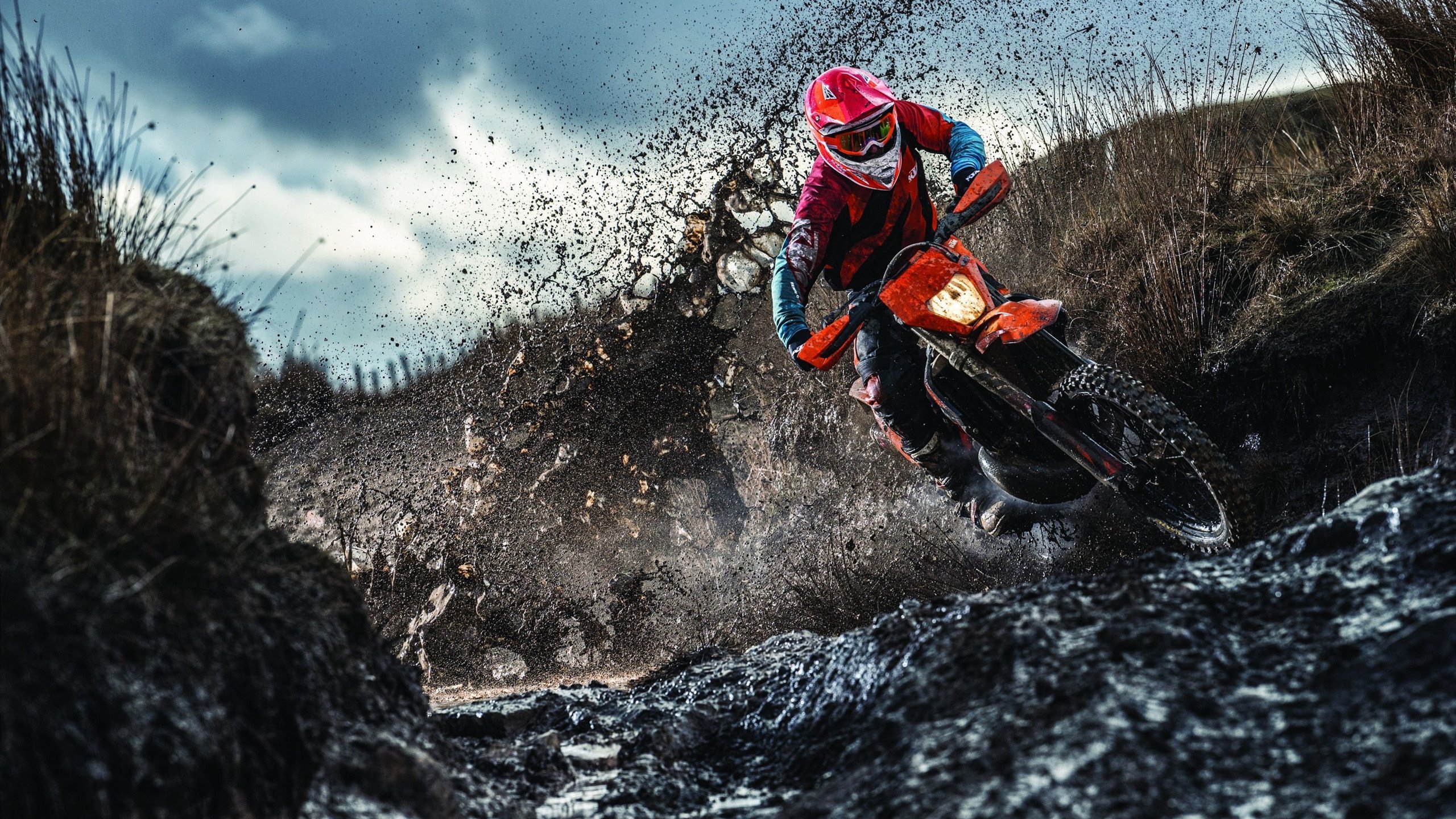 开云体育入口-教科书级的对决，塔图姆封神之战，开拓者巅峰胜雄鹿启示录